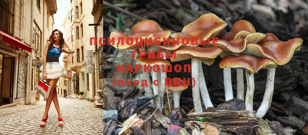 спайс Вяземский