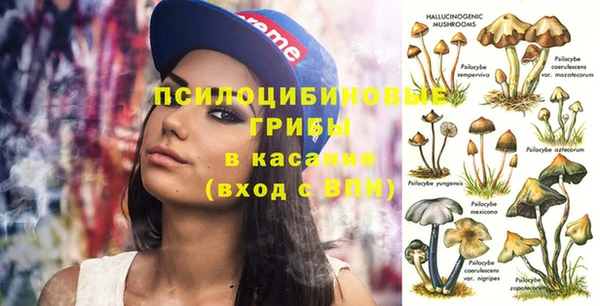 прущий лед Вязники