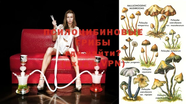 тгк Вязьма