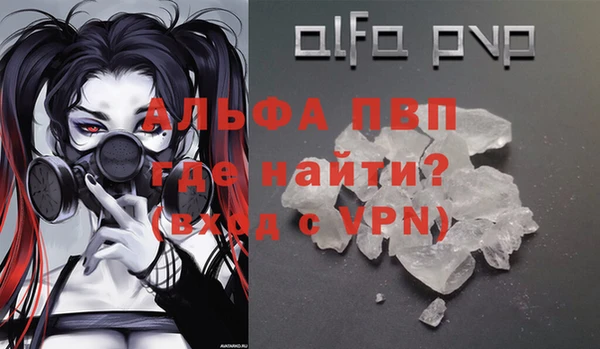 спайс Вяземский