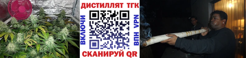 Купить  Хотьково  Дистиллят ТГК гашишное масло 